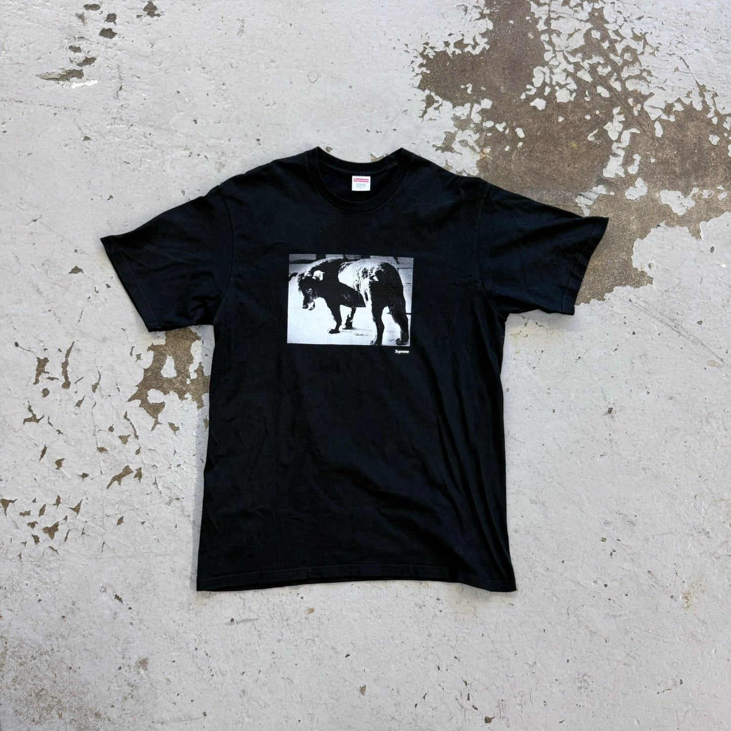 Supreme x Daido Moriyama Dog Tee